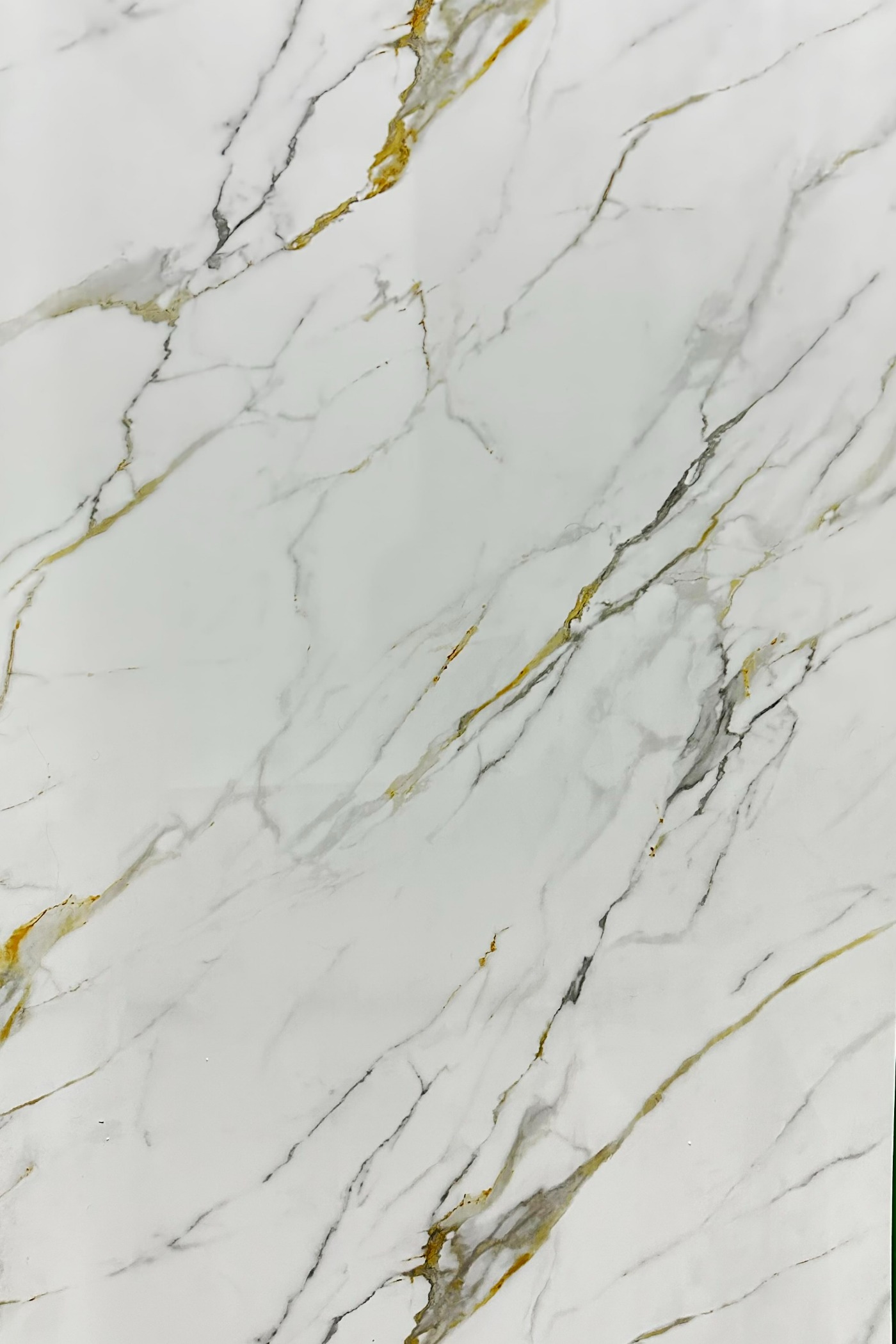 CARRARA GOLD-60cm X 120cm